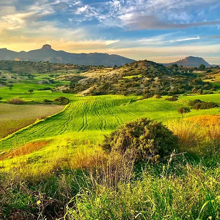 Boho Bay Апартаменты Akanthou