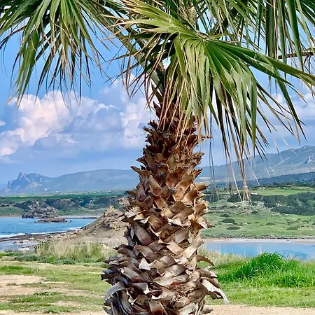 Boho Bay Akanthou
