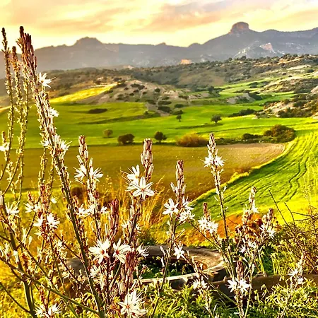 Boho Bay * Akanthou